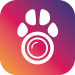 PetCam App - Monitor de Perro