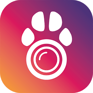 PetCam App – Monitor de Perro