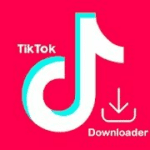 TikTok Downloader Android