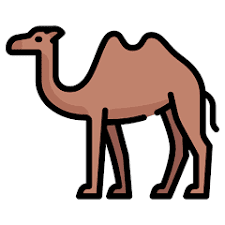 Calculadora de Camellos